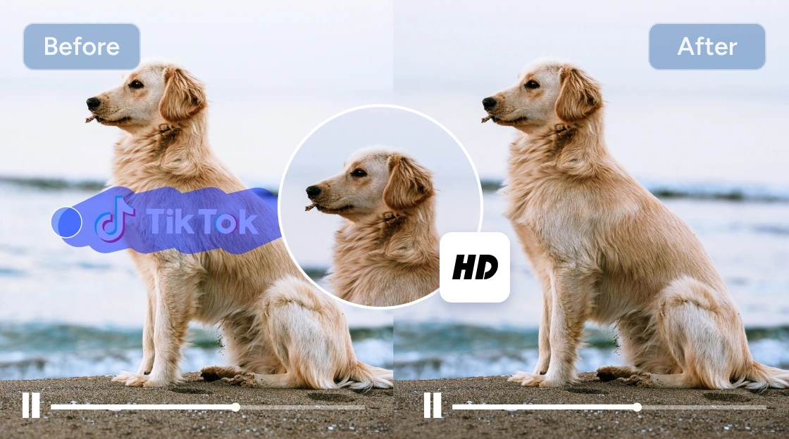 before and after effect of removing tiktok watermark from a dog video with high quality